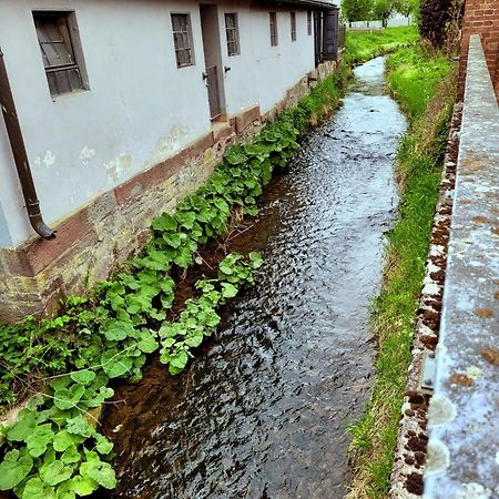 Ferienwohnung Zum Sollingtor Dassel エクステリア 写真