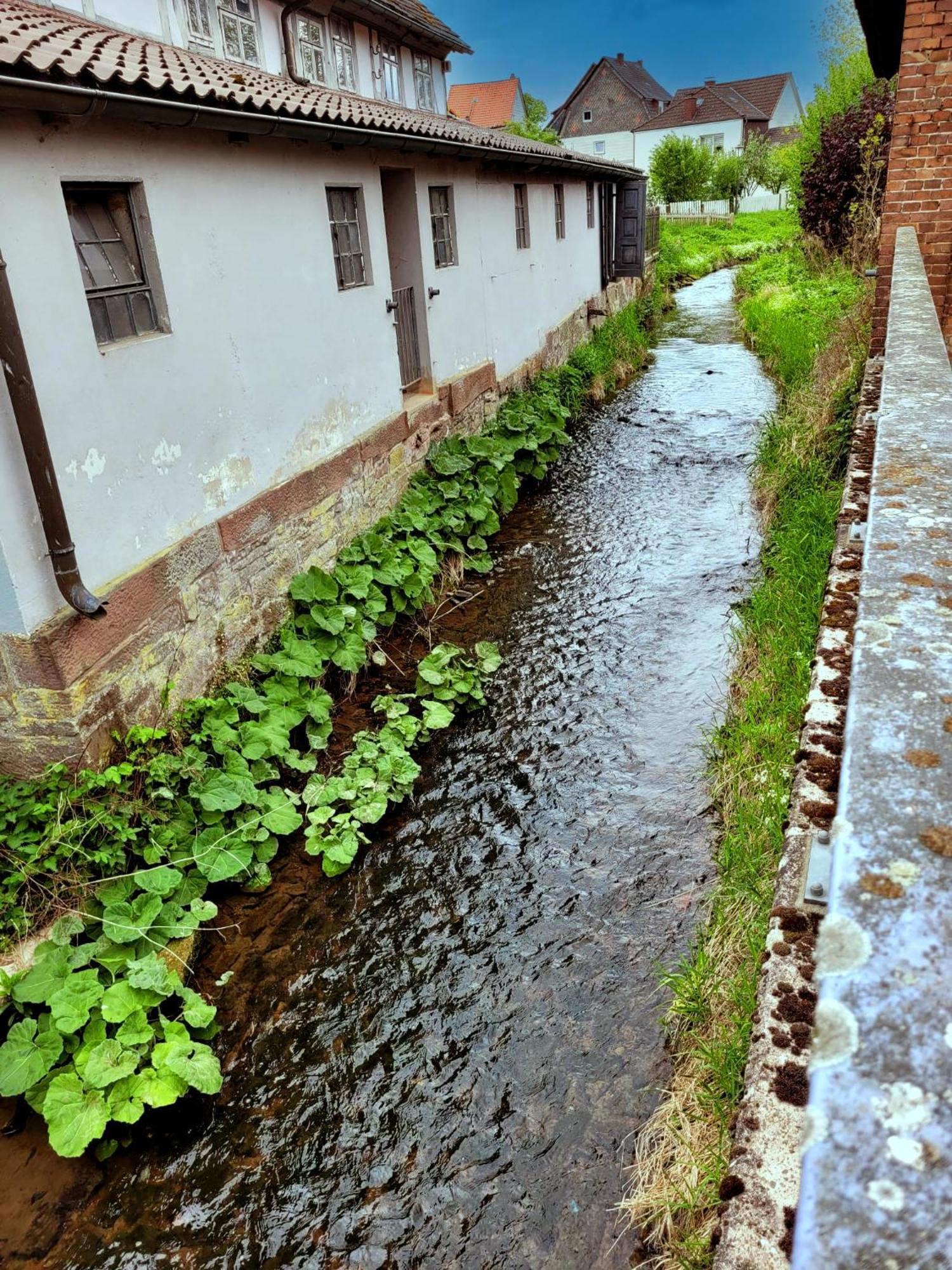 Ferienwohnung Zum Sollingtor Dassel エクステリア 写真