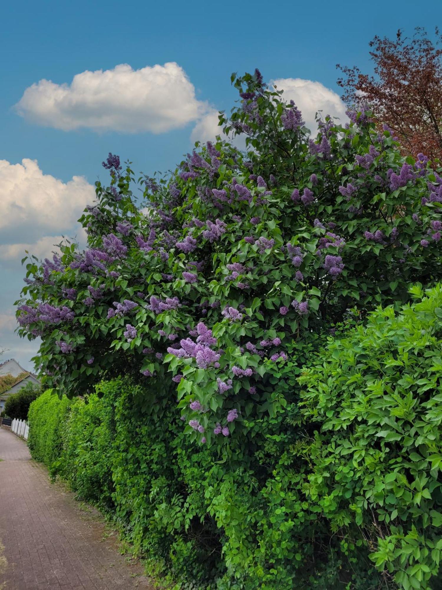 Ferienwohnung Zum Sollingtor Dassel エクステリア 写真
